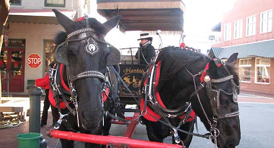 Horse Drawn Carriage Ride - photo by Denise Dell Harbin
