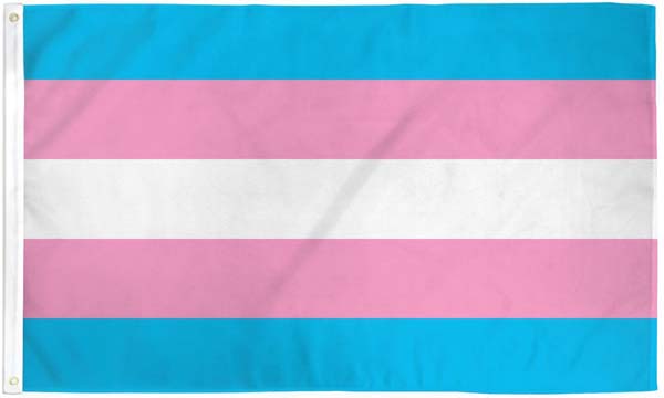 Trans Pride Flag - photo submitted by Bruce-Michael Gelbert